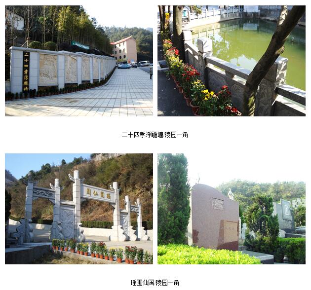 14722053334053.jpg 312.jpg